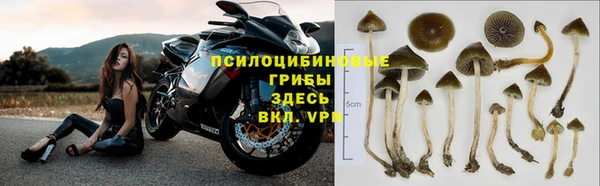 не бодяженный Балахна