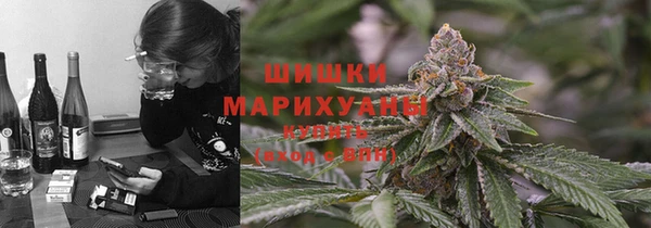 шишки Балабаново